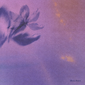 old中国老头老大婆
