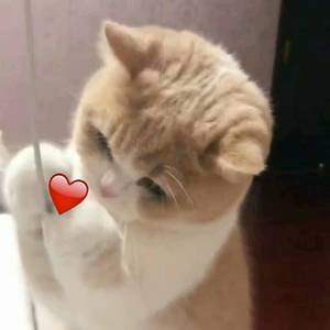 old中国老头老大婆
